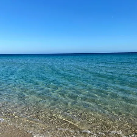 דירה Magnifique De 2pieces Centre A 200m De La *