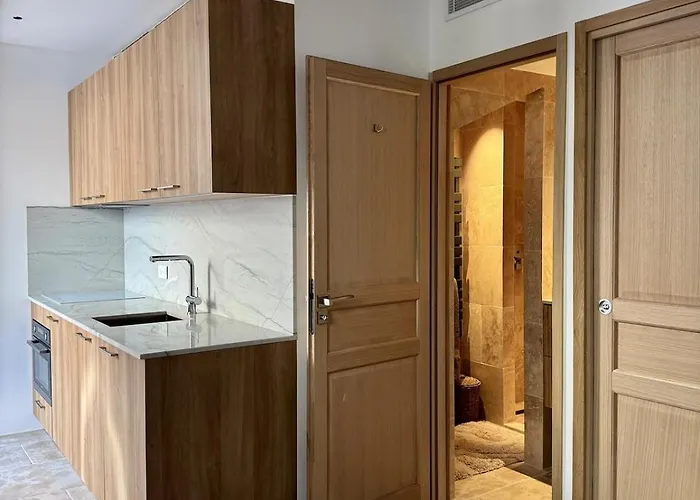 Magnifique De 2pieces Centre A 200m De La