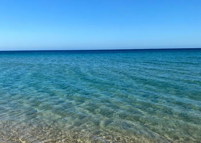 דירה Magnifique De 2pieces Centre A 200m De La *